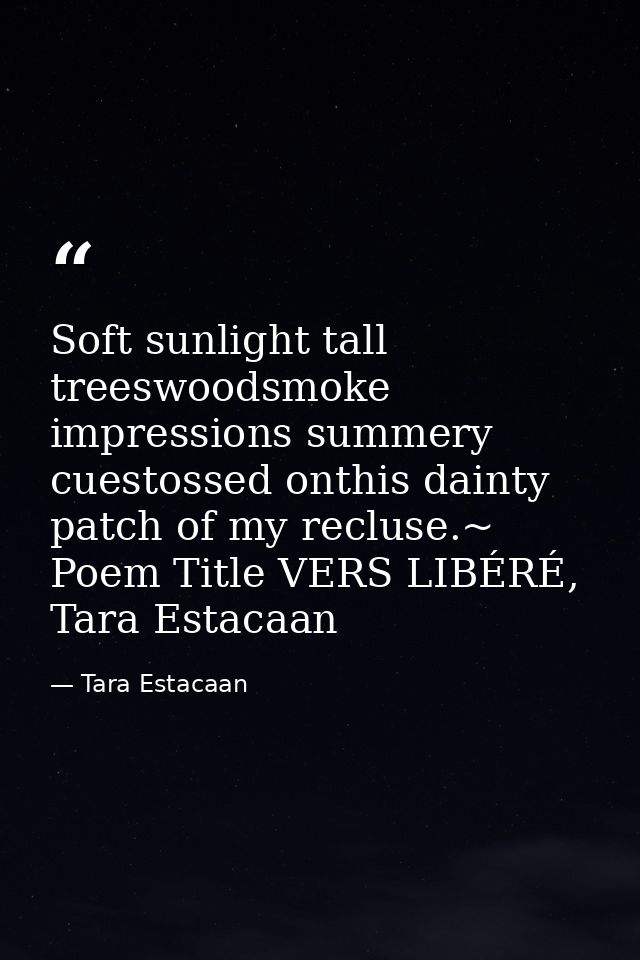 Soft sunlight tall treeswoodsmoke impressions summery cuestossed onthis dainty patch of my recluse.~ Poem Title VERS LIB — Tara Estacaan
