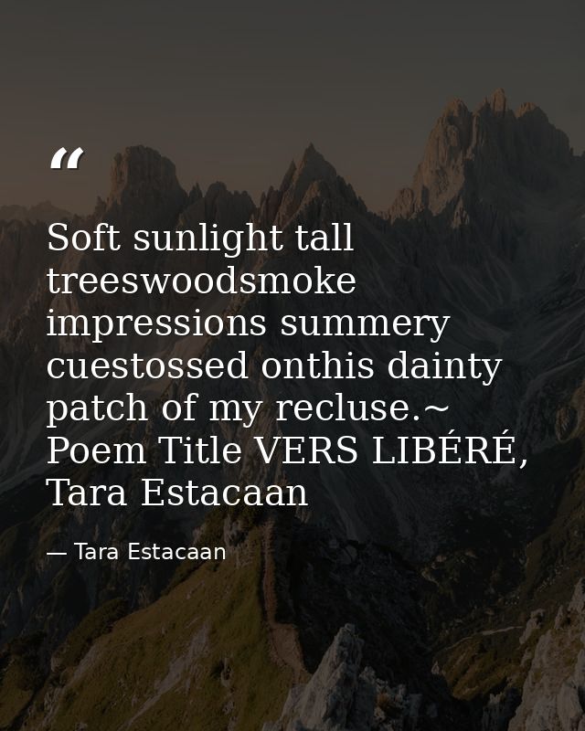 Soft sunlight tall treeswoodsmoke impressions summery cuestossed onthis dainty patch of my recluse.~ Poem Title VERS LIB — Tara Estacaan