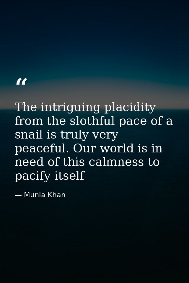 The intriguing placidity from the slothful pace of a snail is truly very peaceful. Our world is in need of this calmness — Munia Khan