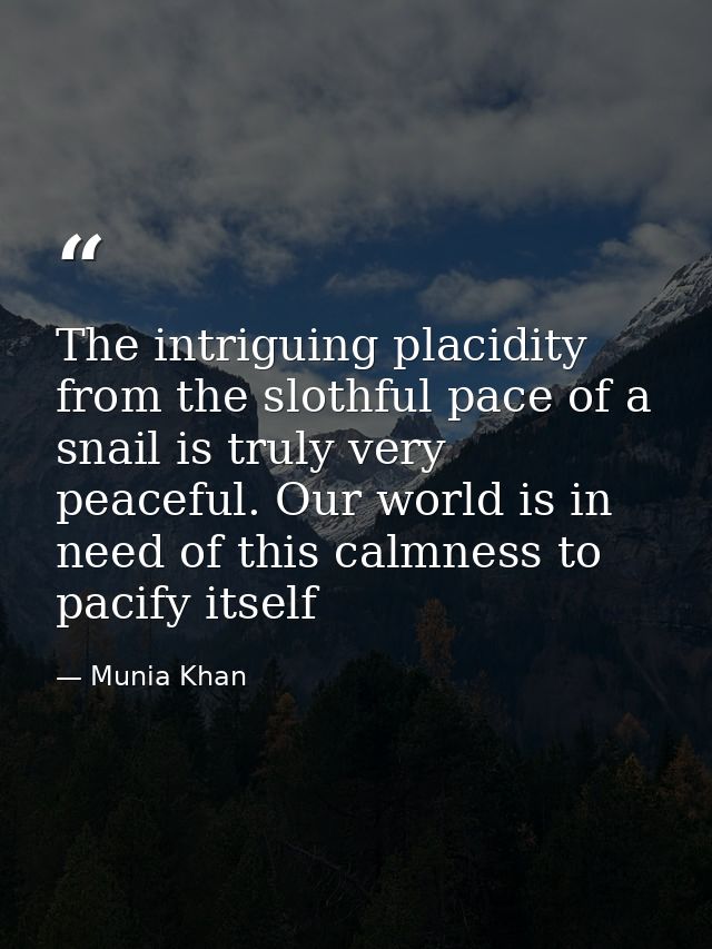 The intriguing placidity from the slothful pace of a snail is truly very peaceful. Our world is in need of this calmness — Munia Khan