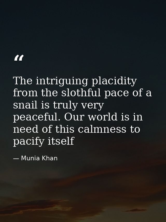 The intriguing placidity from the slothful pace of a snail is truly very peaceful. Our world is in need of this calmness — Munia Khan