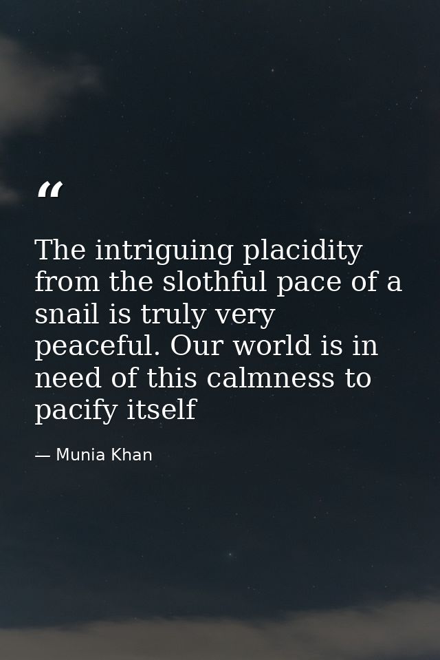 The intriguing placidity from the slothful pace of a snail is truly very peaceful. Our world is in need of this calmness — Munia Khan