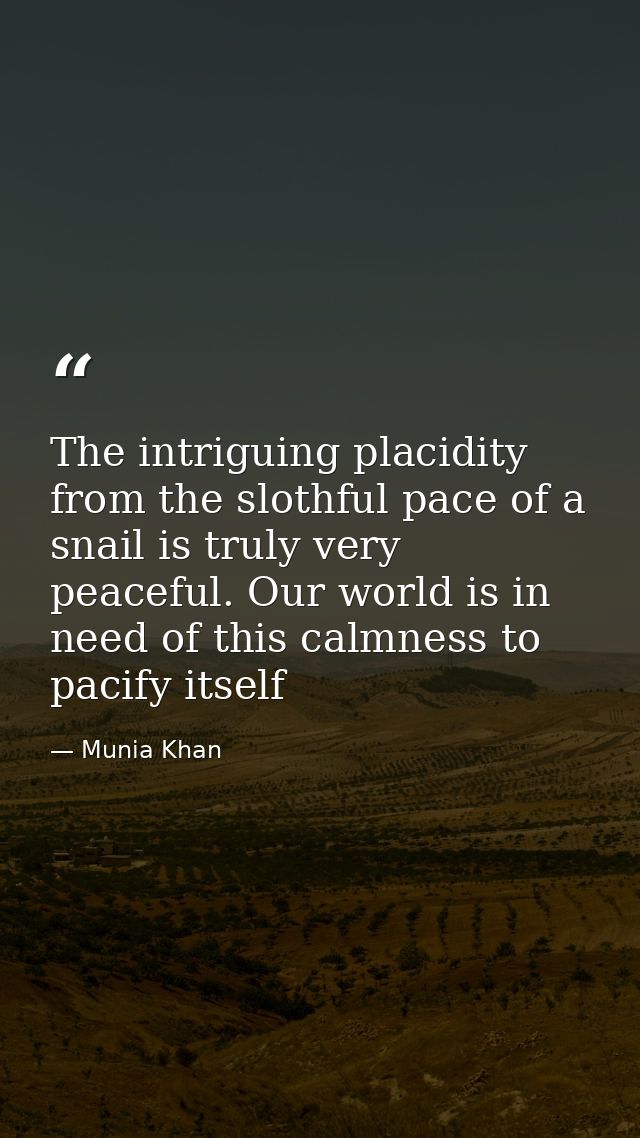 The intriguing placidity from the slothful pace of a snail is truly very peaceful. Our world is in need of this calmness — Munia Khan