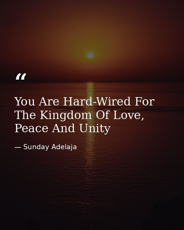 You Are Hard-Wired For The Kingdom Of Love, Peace And Unity — Sunday Adelaja