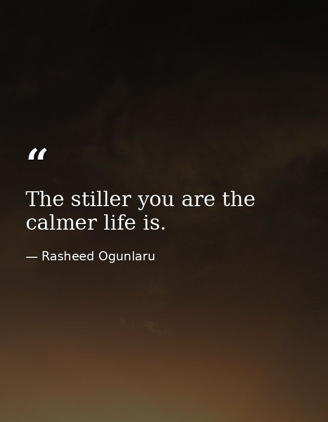 The stiller you are the calmer life is. — Rasheed Ogunlaru