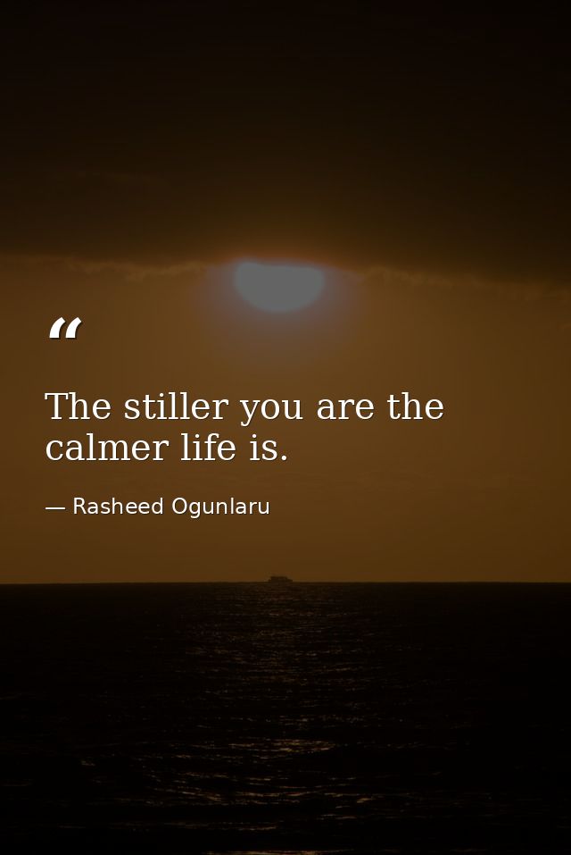 The stiller you are the calmer life is. — Rasheed Ogunlaru