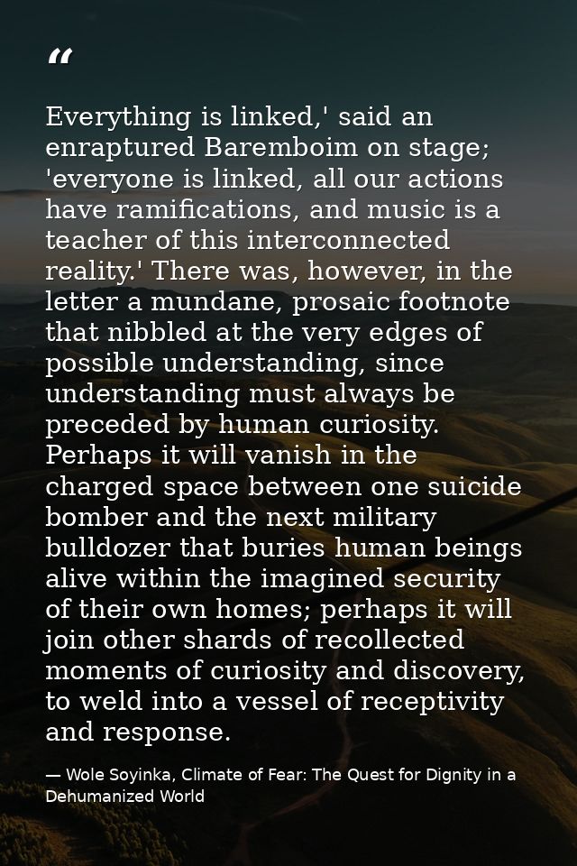 Everything is linked,' said an enraptured Baremboim on stage; 'everyone is linked, all our actions have ramifications, a — Wole Soyinka, Climate of Fear: The Quest for Dignity in a Dehumanized World