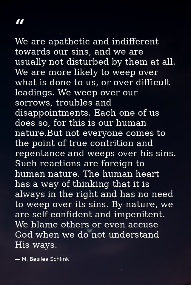 We are apathetic and indifferent towards our sins, and we are usually not disturbed by them at all. We are more likely t — M. Basilea Schlink