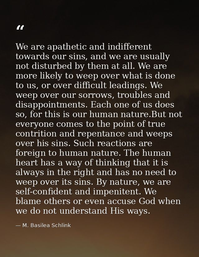 We are apathetic and indifferent towards our sins, and we are usually not disturbed by them at all. We are more likely t — M. Basilea Schlink