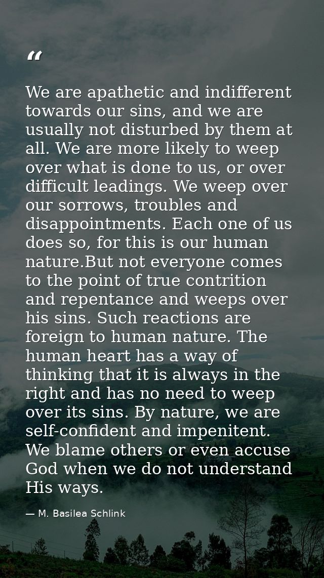 We are apathetic and indifferent towards our sins, and we are usually not disturbed by them at all. We are more likely t — M. Basilea Schlink