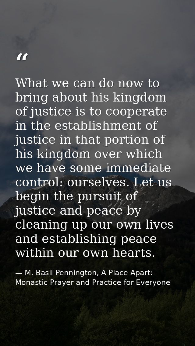 What we can do now to bring about his kingdom of justice is to cooperate in the establishment of justice in that portion — M. Basil Pennington, A Place Apart: Monastic Prayer and Practice for Everyone