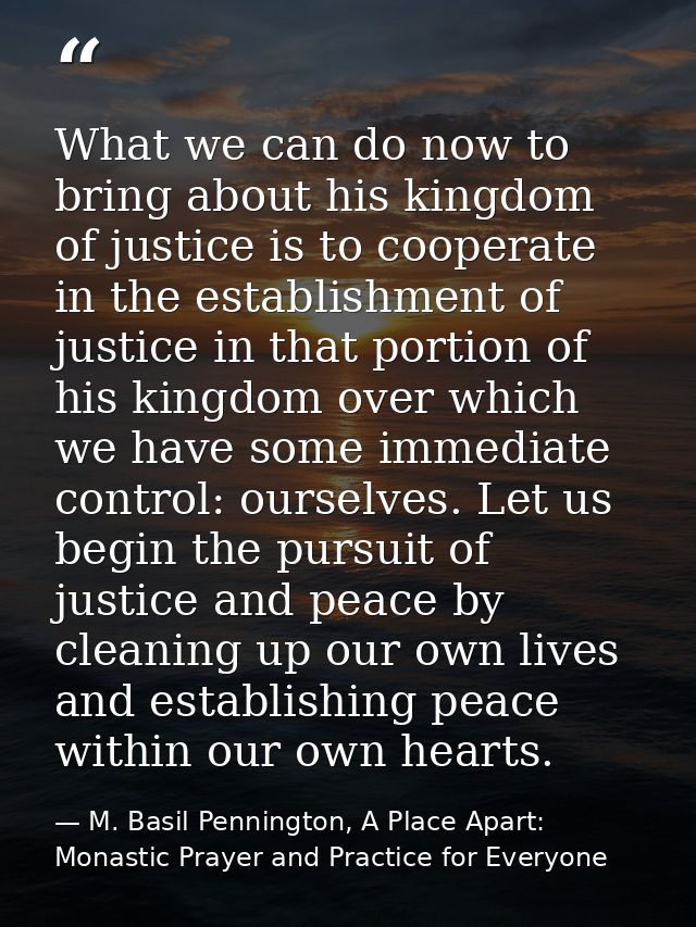 What we can do now to bring about his kingdom of justice is to cooperate in the establishment of justice in that portion — M. Basil Pennington, A Place Apart: Monastic Prayer and Practice for Everyone