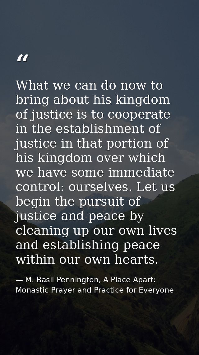 What we can do now to bring about his kingdom of justice is to cooperate in the establishment of justice in that portion — M. Basil Pennington, A Place Apart: Monastic Prayer and Practice for Everyone