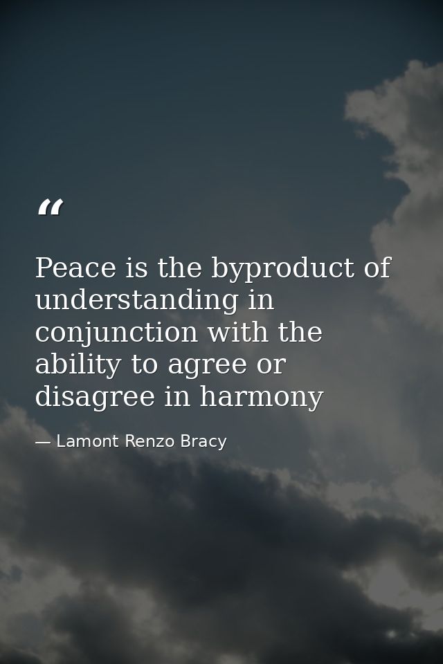 Peace is the byproduct of understanding in conjunction with the ability to agree or disagree in harmony — Lamont Renzo Bracy
