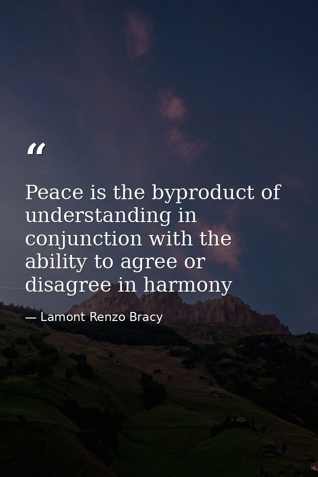 Peace is the byproduct of understanding in conjunction with the ability to agree or disagree in harmony — Lamont Renzo Bracy