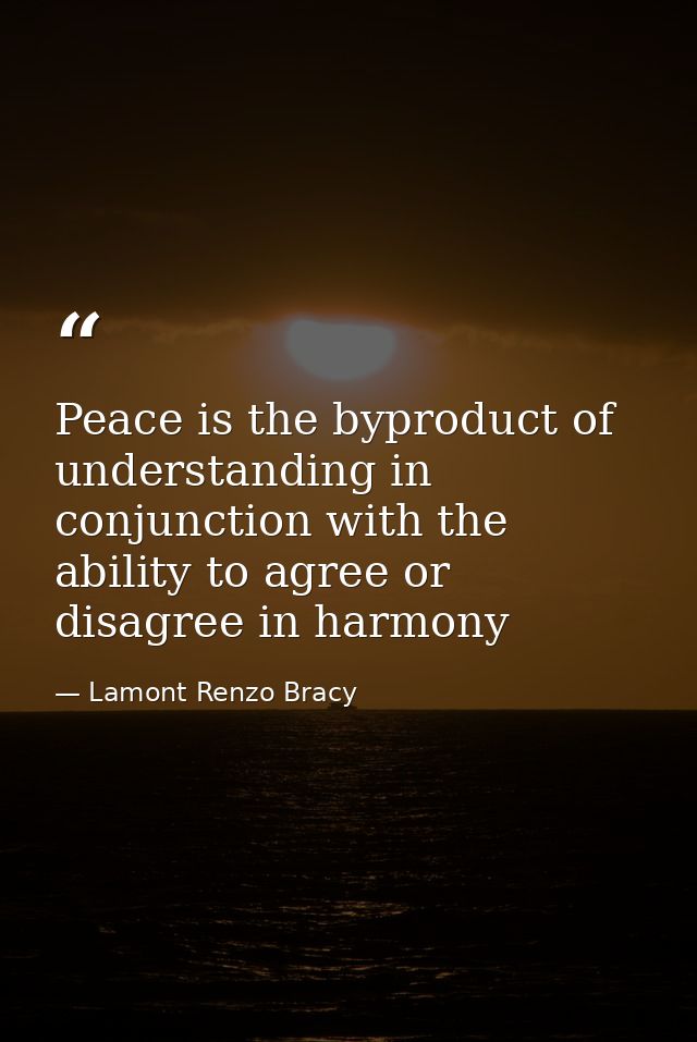 Peace is the byproduct of understanding in conjunction with the ability to agree or disagree in harmony — Lamont Renzo Bracy