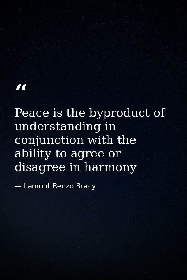 Peace is the byproduct of understanding in conjunction with the ability to agree or disagree in harmony — Lamont Renzo Bracy