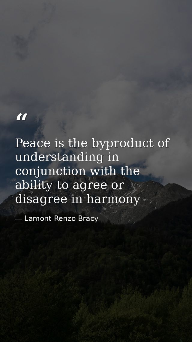 Peace is the byproduct of understanding in conjunction with the ability to agree or disagree in harmony — Lamont Renzo Bracy