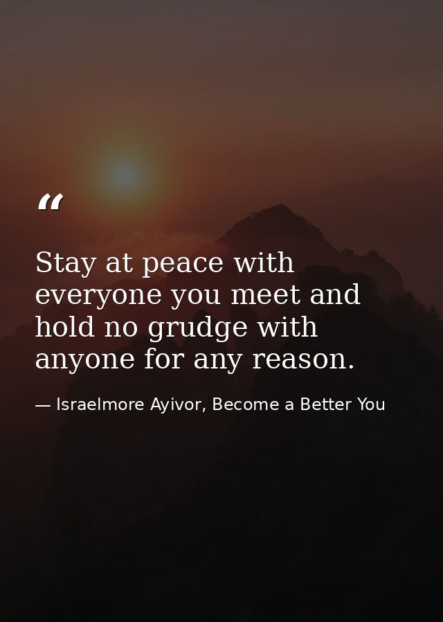 Stay at peace with everyone you meet and hold no grudge with anyone for any reason. — Israelmore Ayivor, Become a Better You