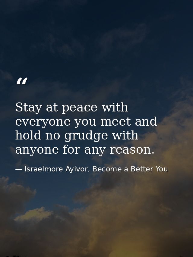 Stay at peace with everyone you meet and hold no grudge with anyone for any reason. — Israelmore Ayivor, Become a Better You