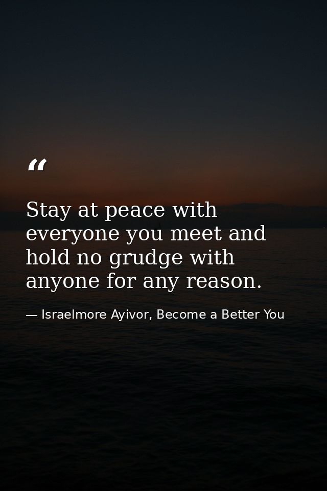 Stay at peace with everyone you meet and hold no grudge with anyone for any reason. — Israelmore Ayivor, Become a Better You