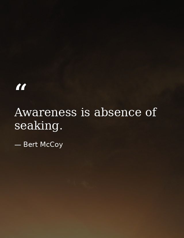Awareness is absence of seaking. — Bert McCoy