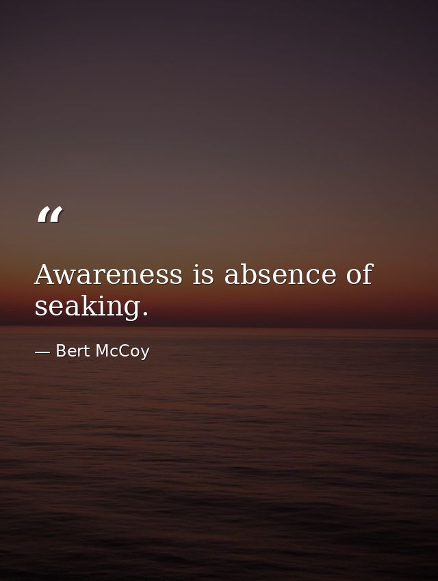 Awareness is absence of seaking. — Bert McCoy