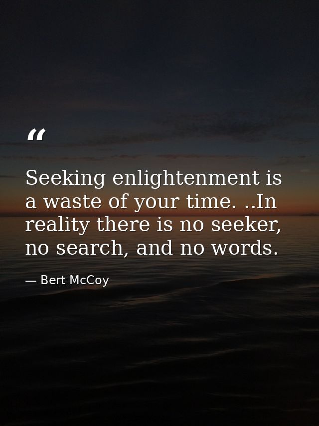 Seeking enlightenment is a waste of your time. ..In reality there is no seeker, no search, and no words. — Bert McCoy
