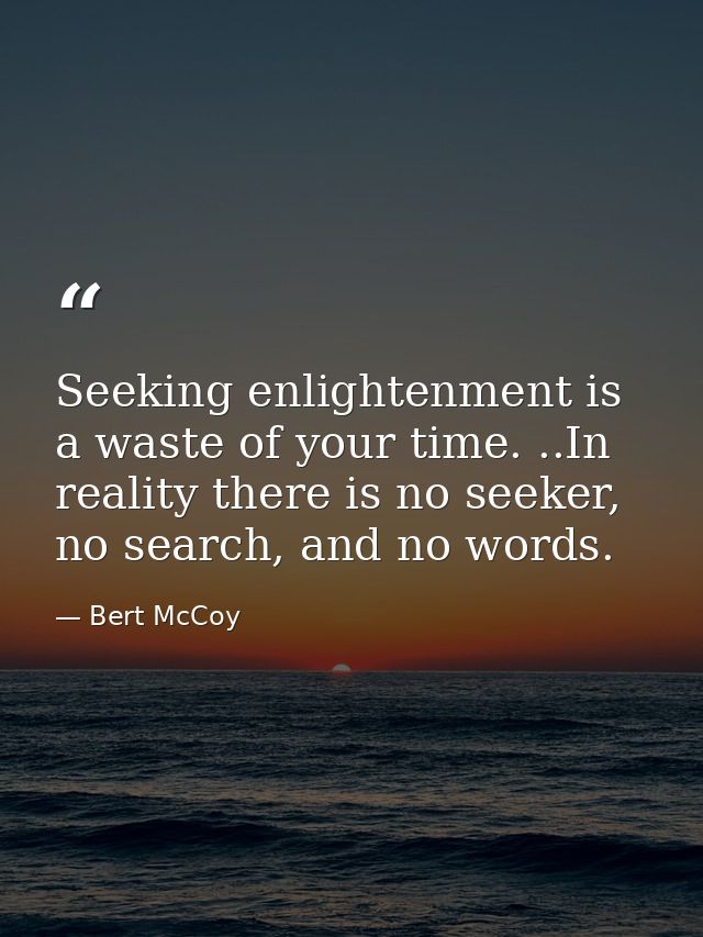 Seeking enlightenment is a waste of your time. ..In reality there is no seeker, no search, and no words. — Bert McCoy