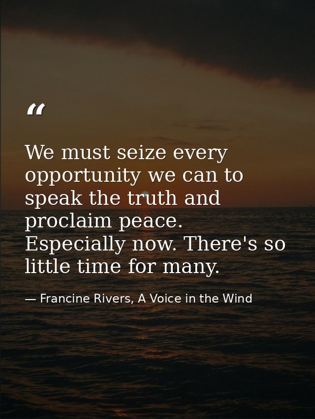 We must seize every opportunity we can to speak the truth and proclaim peace. Especially now. There's so little time for — Francine Rivers, A Voice in the Wind