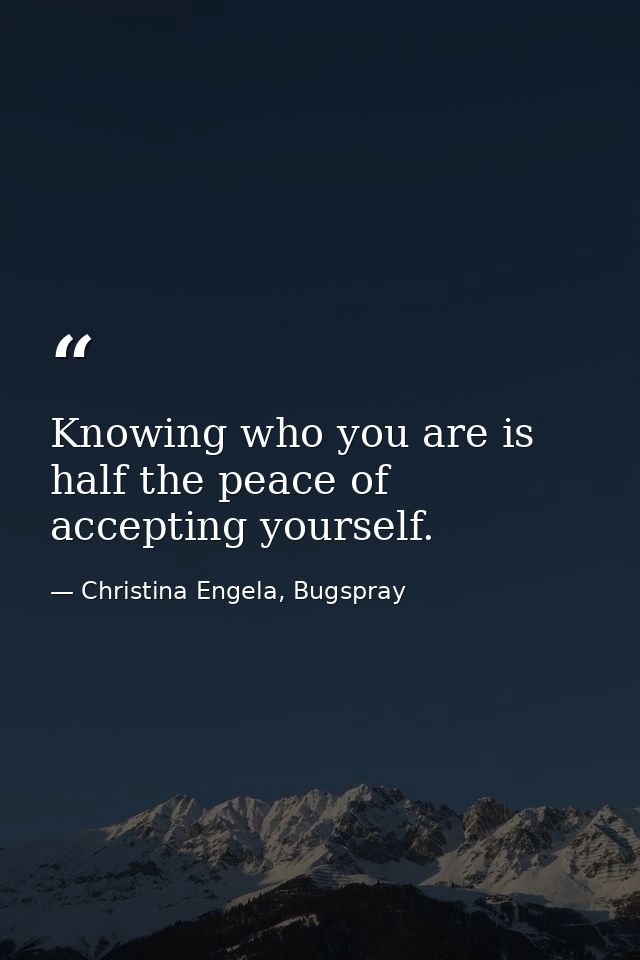 Knowing who you are is half the peace of accepting yourself. — Christina Engela, Bugspray