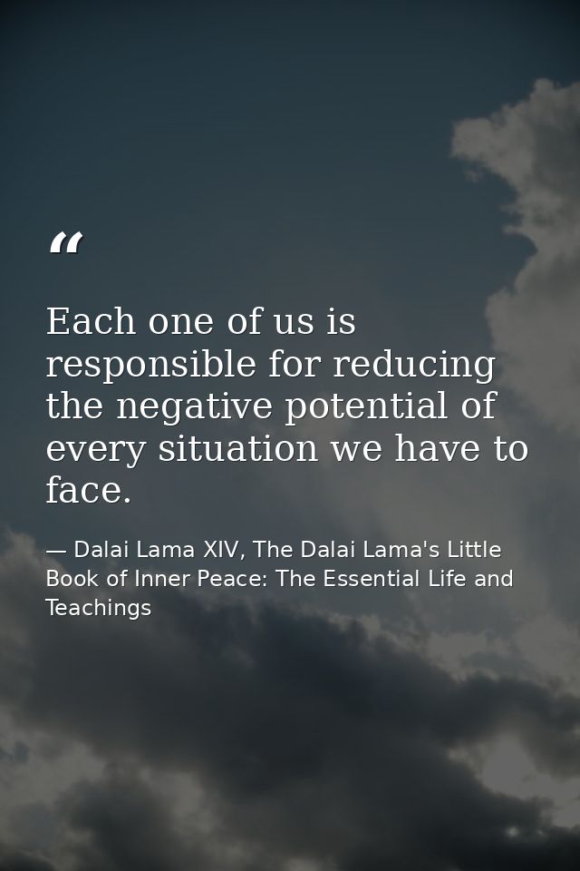 Each one of us is responsible for reducing the negative potential of every situation we have to face. — Dalai Lama XIV, The Dalai Lama's Little Book of Inner Peace: The Essential Life and Teachings