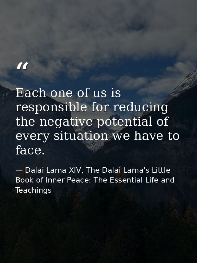 Each one of us is responsible for reducing the negative potential of every situation we have to face. — Dalai Lama XIV, The Dalai Lama's Little Book of Inner Peace: The Essential Life and Teachings