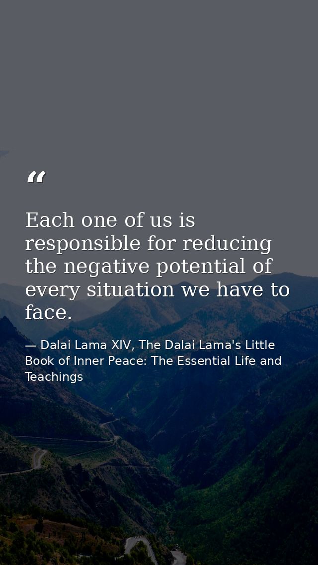 Each one of us is responsible for reducing the negative potential of every situation we have to face. — Dalai Lama XIV, The Dalai Lama's Little Book of Inner Peace: The Essential Life and Teachings
