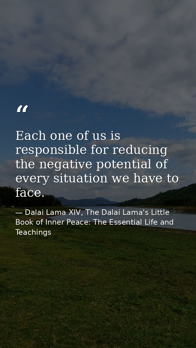 Each one of us is responsible for reducing the negative potential of every situation we have to face. — Dalai Lama XIV, The Dalai Lama's Little Book of Inner Peace: The Essential Life and Teachings
