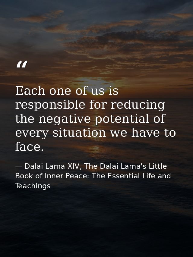 Each one of us is responsible for reducing the negative potential of every situation we have to face. — Dalai Lama XIV, The Dalai Lama's Little Book of Inner Peace: The Essential Life and Teachings