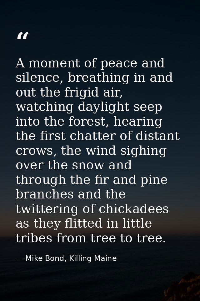 A moment of peace and silence, breathing in and out the frigid air, watching daylight seep into the forest, hearing the  — Mike Bond, Killing Maine