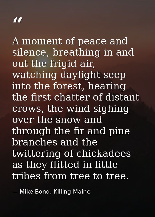 A moment of peace and silence, breathing in and out the frigid air, watching daylight seep into the forest, hearing the  — Mike Bond, Killing Maine