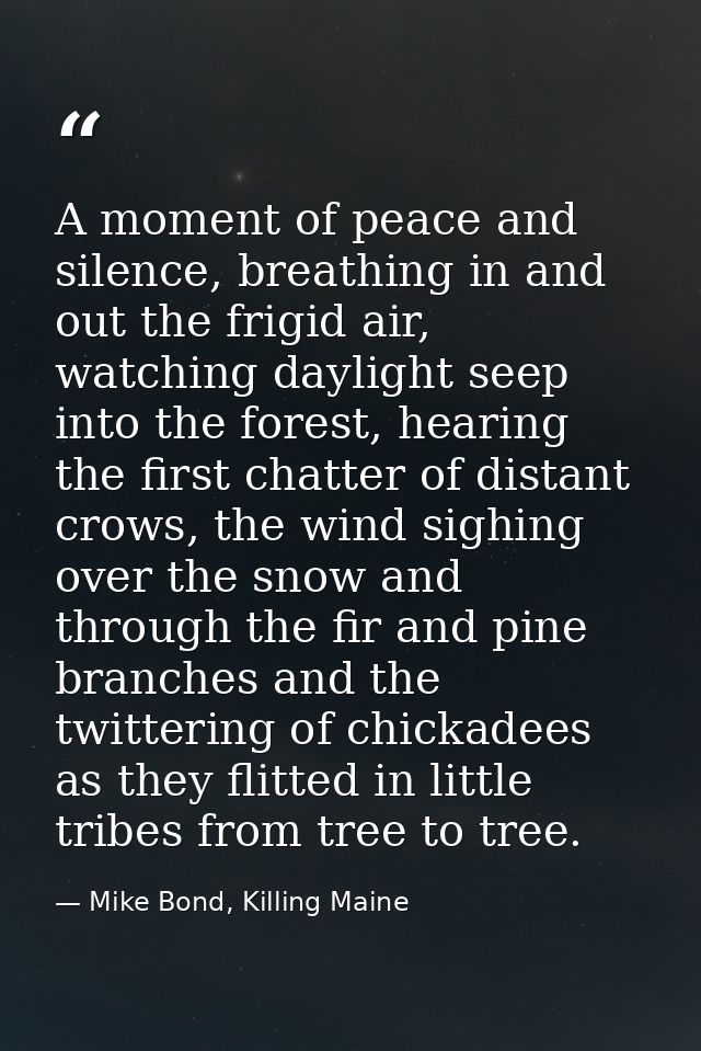 A moment of peace and silence, breathing in and out the frigid air, watching daylight seep into the forest, hearing the  — Mike Bond, Killing Maine