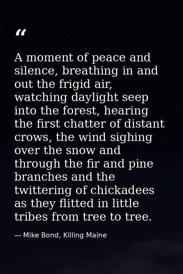 A moment of peace and silence, breathing in and out the frigid air, watching daylight seep into the forest, hearing the  — Mike Bond, Killing Maine