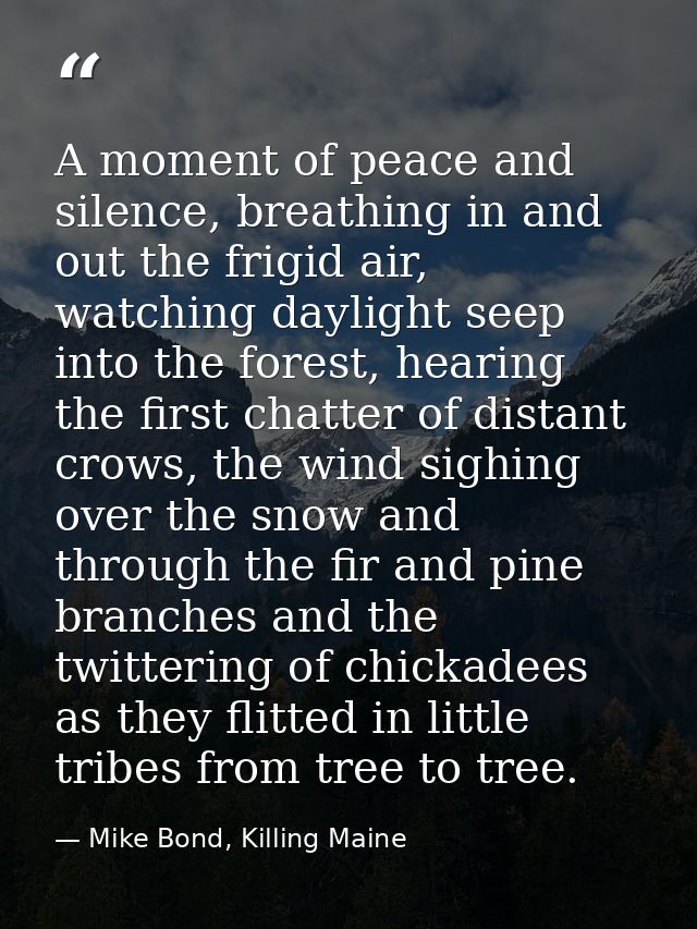 A moment of peace and silence, breathing in and out the frigid air, watching daylight seep into the forest, hearing the  — Mike Bond, Killing Maine