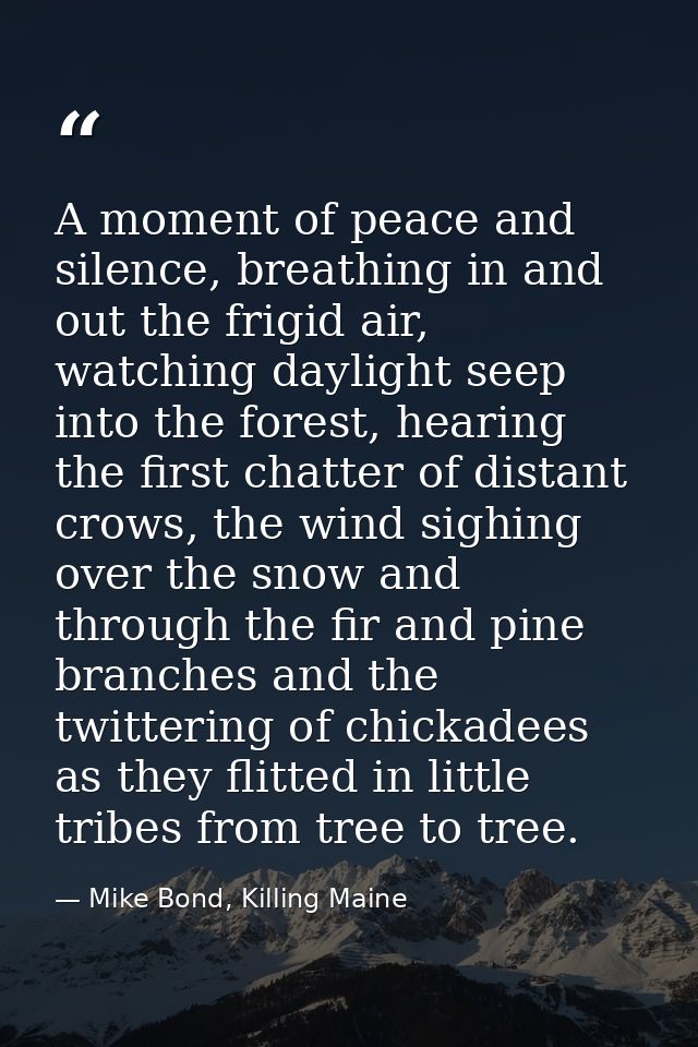 A moment of peace and silence, breathing in and out the frigid air, watching daylight seep into the forest, hearing the  — Mike Bond, Killing Maine