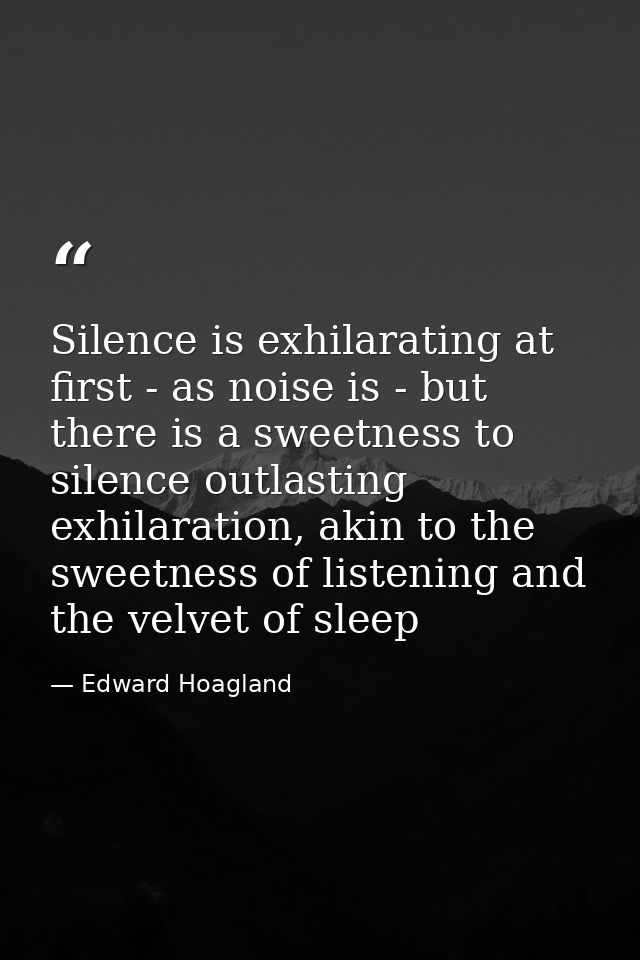Silence is exhilarating at first - as noise is - but there is a sweetness to silence outlasting exhilaration, akin to th — Edward Hoagland