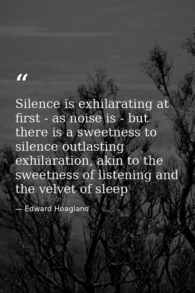 Silence is exhilarating at first - as noise is - but there is a sweetness to silence outlasting exhilaration, akin to th — Edward Hoagland