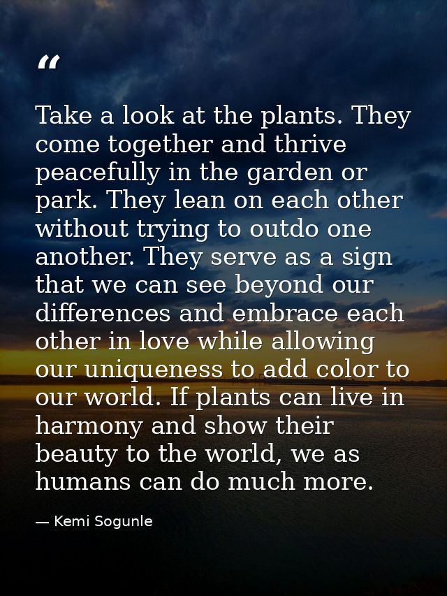 Take a look at the plants. They come together and thrive peacefully in the garden or park. They lean on each other witho — Kemi Sogunle