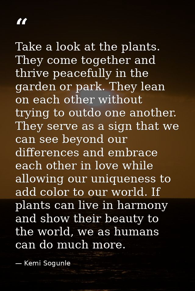 Take a look at the plants. They come together and thrive peacefully in the garden or park. They lean on each other witho — Kemi Sogunle