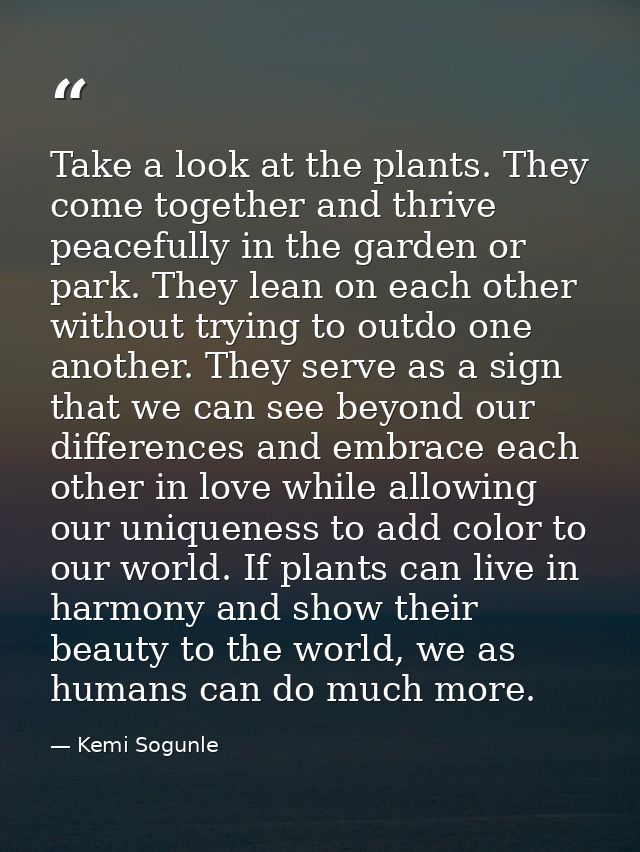 Take a look at the plants. They come together and thrive peacefully in the garden or park. They lean on each other witho — Kemi Sogunle
