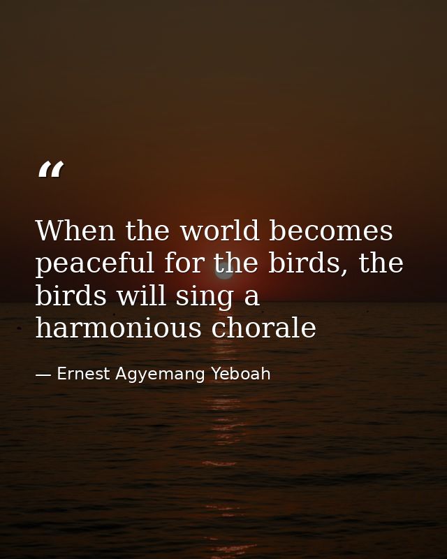 When the world becomes peaceful for the birds, the birds will sing a harmonious chorale — Ernest Agyemang Yeboah