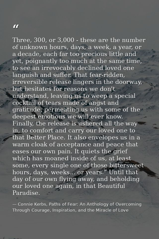 Three, 300, or 3,000 - these are the number of unknown hours, days, a week, a year, or a decade, each far too precious l — Connie Kerbs, Paths of Fear: An Anthology of Overcoming Through Courage, Inspiration, and the Miracle of Love