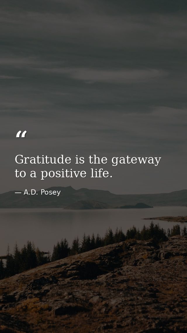 Gratitude is the gateway to a positive life. — A.D. Posey